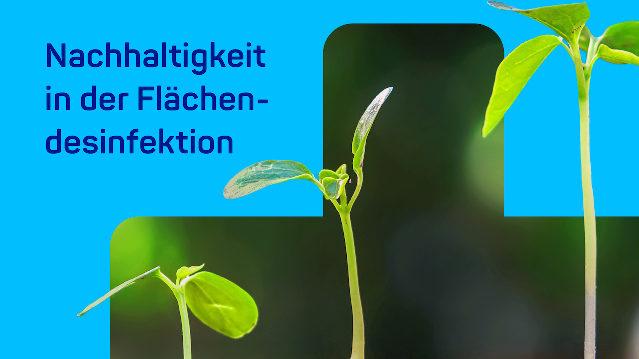 Fresh sprouts on the cover of a white paper about sustainable disinfectant wipes.