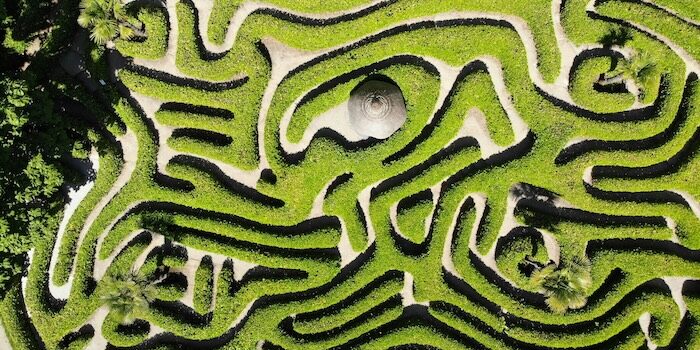 Image of a garden maze.