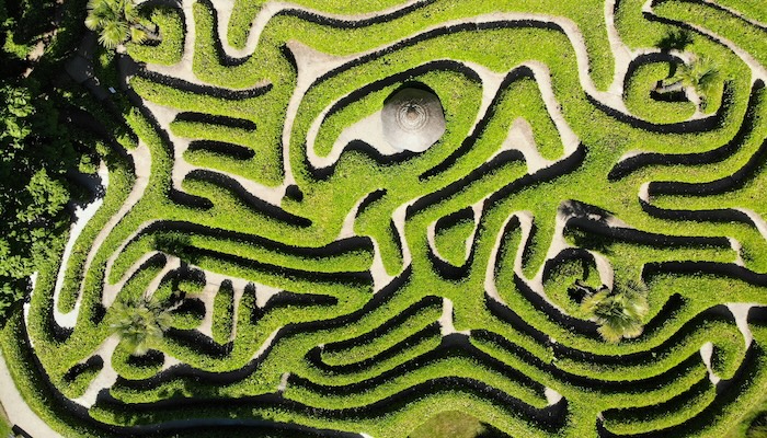 Image of a garden maze.